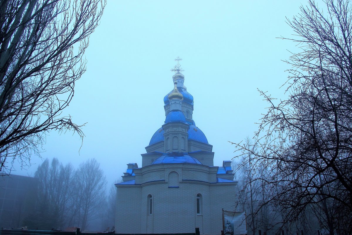 В тумане - Владимир Бекетов