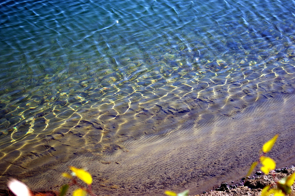 Осень. Вода - Арина Минеева