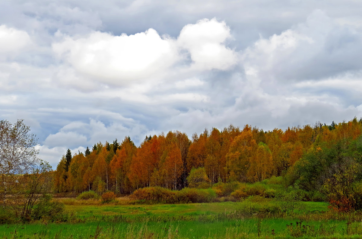 осень - Александр Смирнов