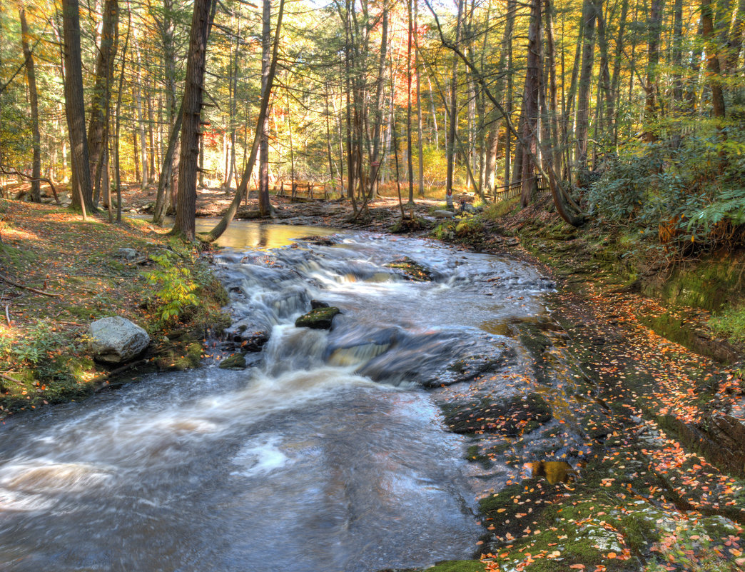 Bushkill Falls, Pensilvania - Vadim Raskin