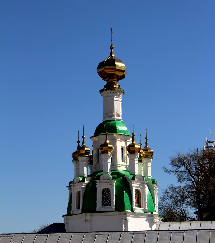 Толгский женский монастырь. Ярославль - Татьяна Богачева