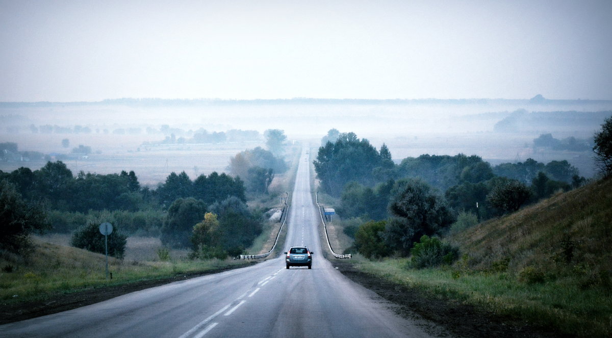 Дорога в туман - Мария Богуславская
