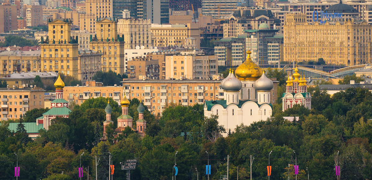 Москва с Воробьевых гор - Ю Д