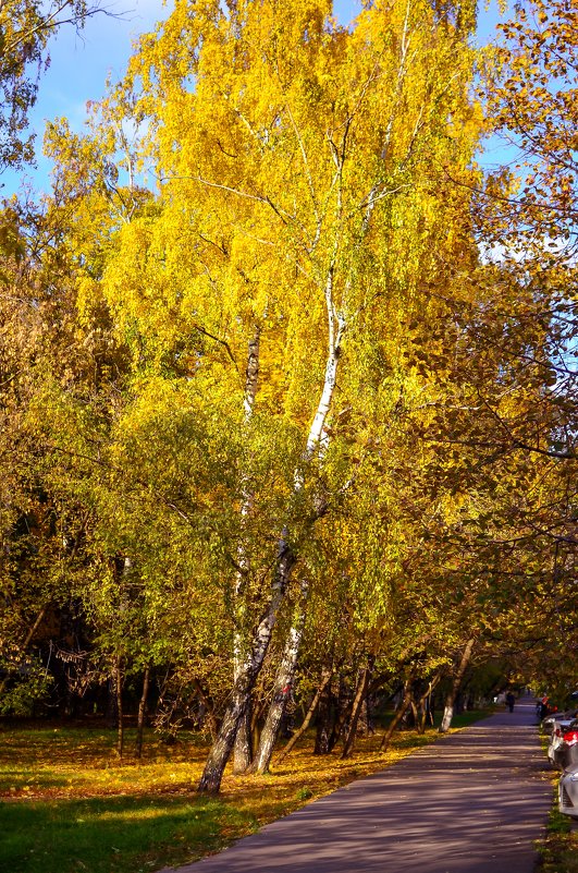 Осень - Ксения Базарова