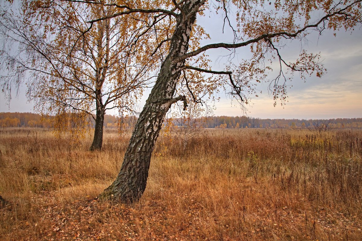 Осень - Константин 