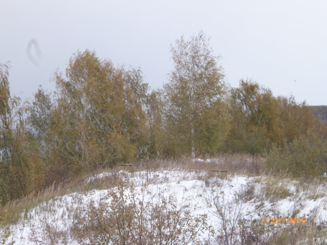Снег в октябре - шубнякова 