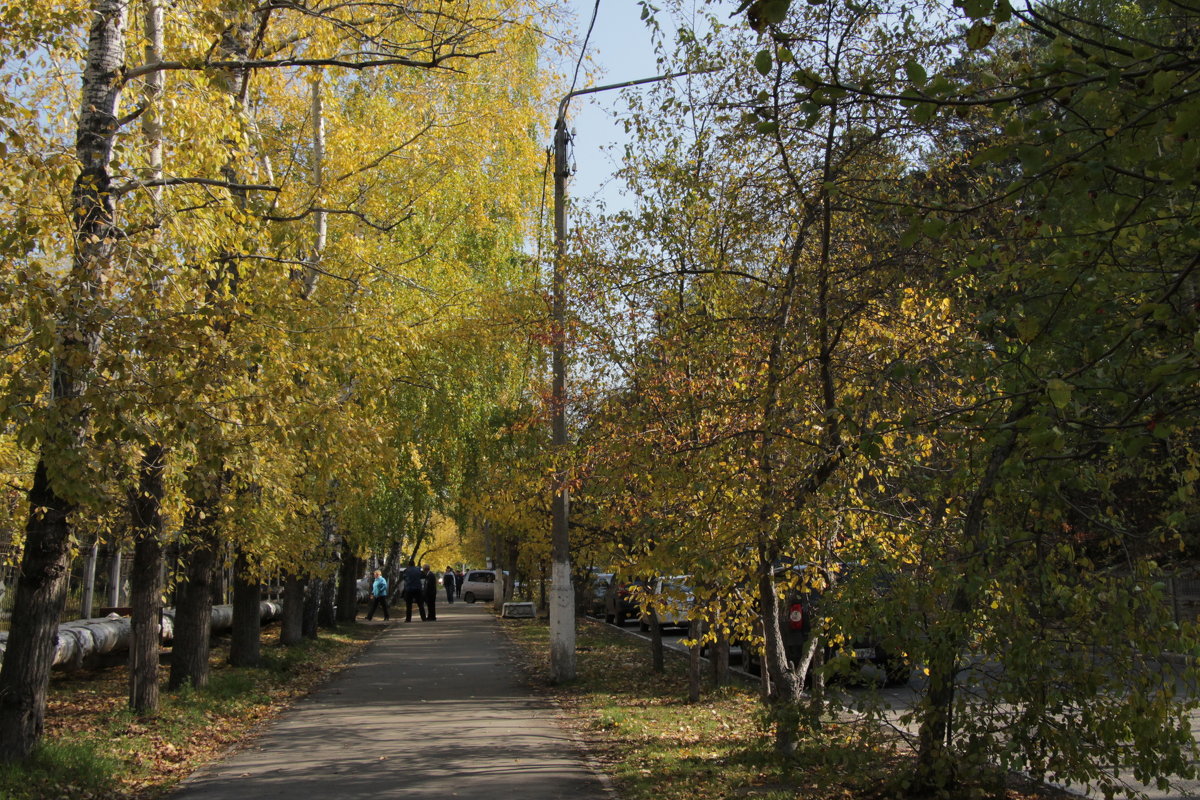 *** - Олег Афанасьевич Сергеев