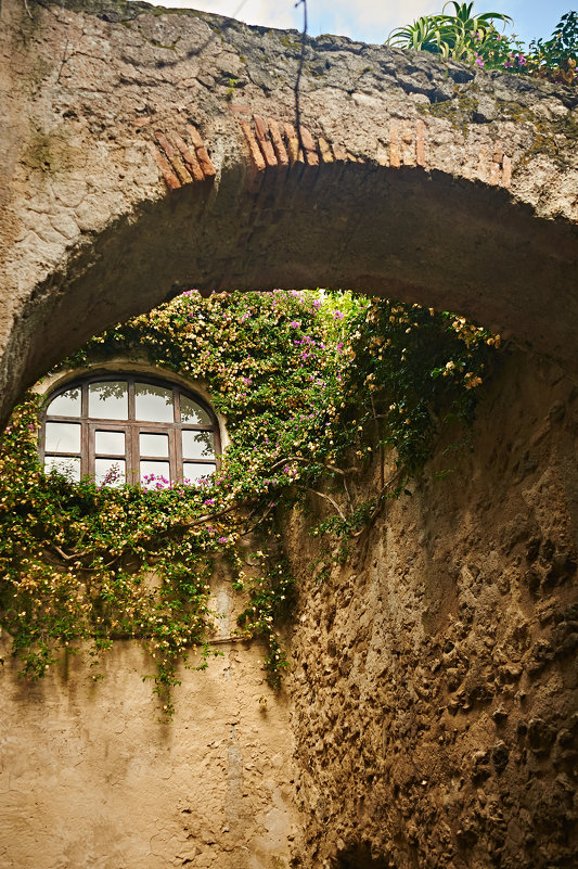 Старые стены Арагонского замка - Андрей Крючков
