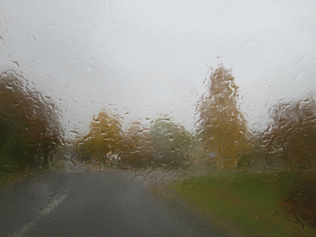 Дождь за окном - Mariya laimite