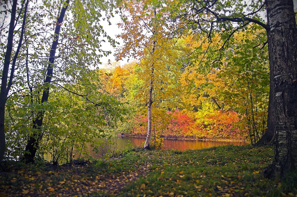 осень - Виктория Жуланова