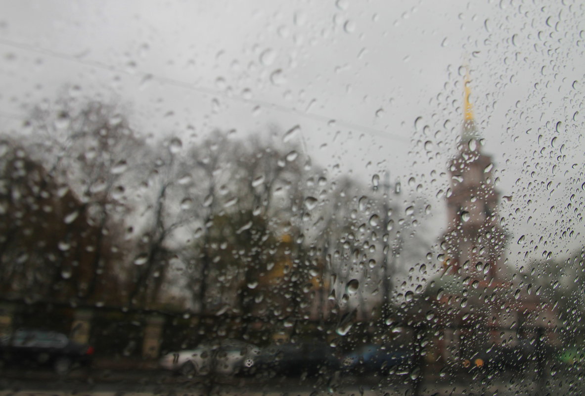 В Петербурге сегодня дожди.... - Tatiana Markova
