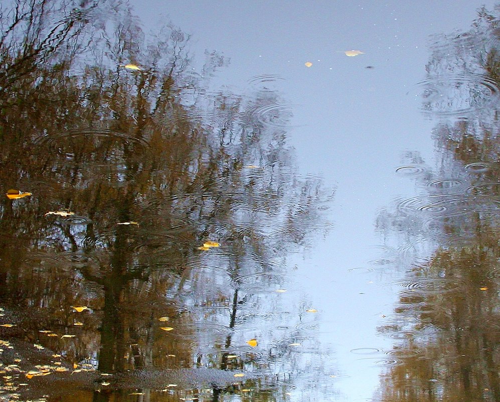 Осенняя акварель.... дождь... - Валерия  Полещикова 