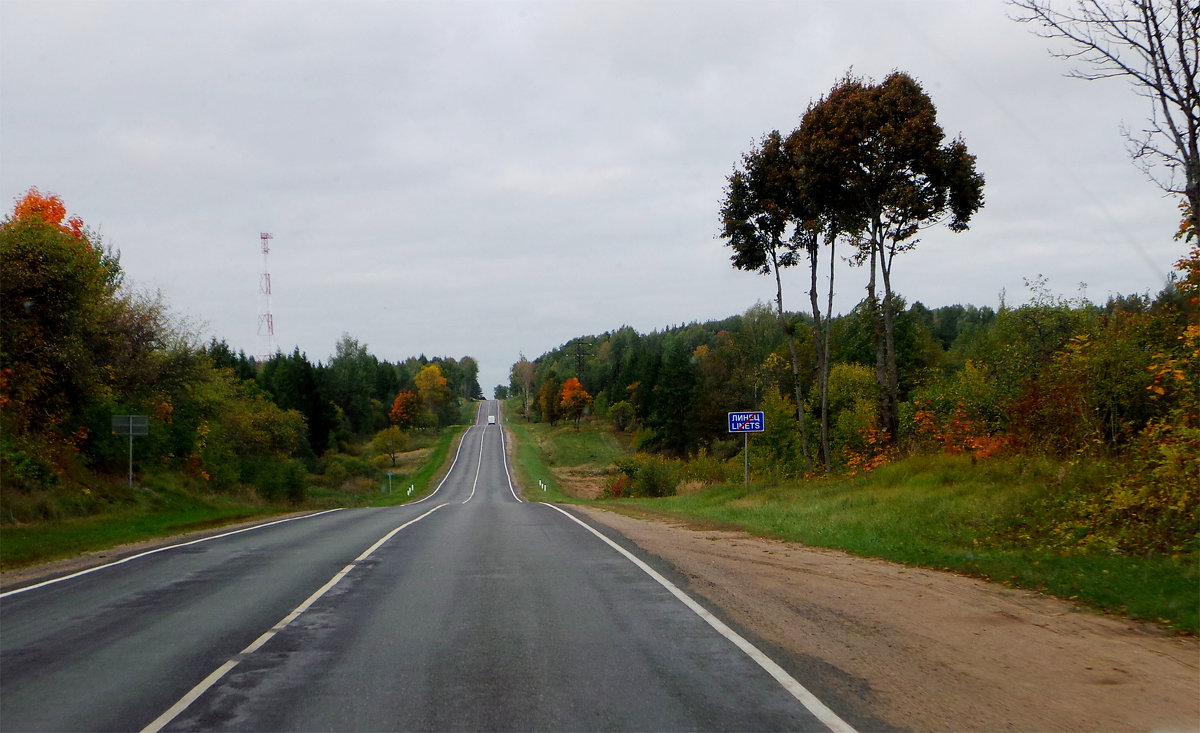 Дорога в осень - Olga Salnikova