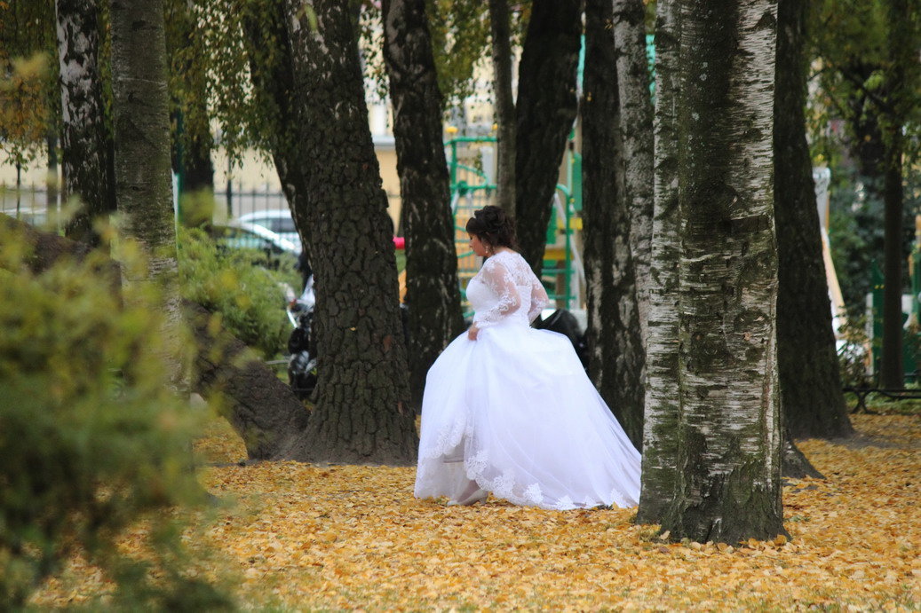 Осенние свадьбы - Вера Моисеева
