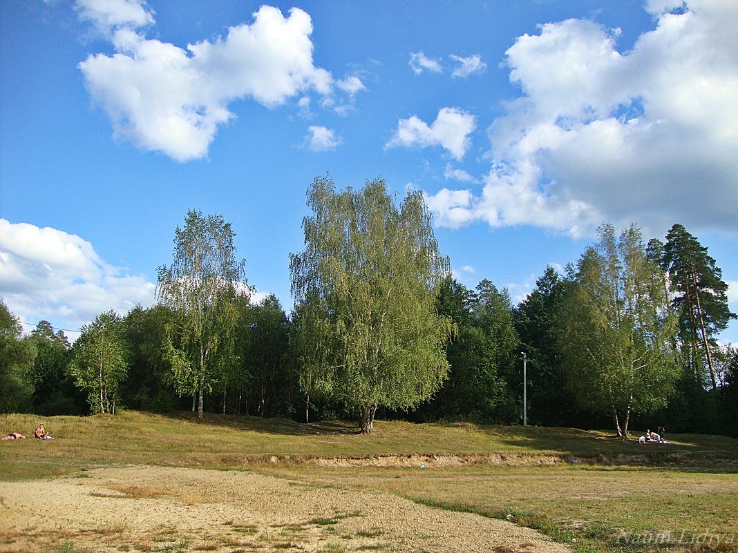 Березы - Лидия (naum.lidiya)