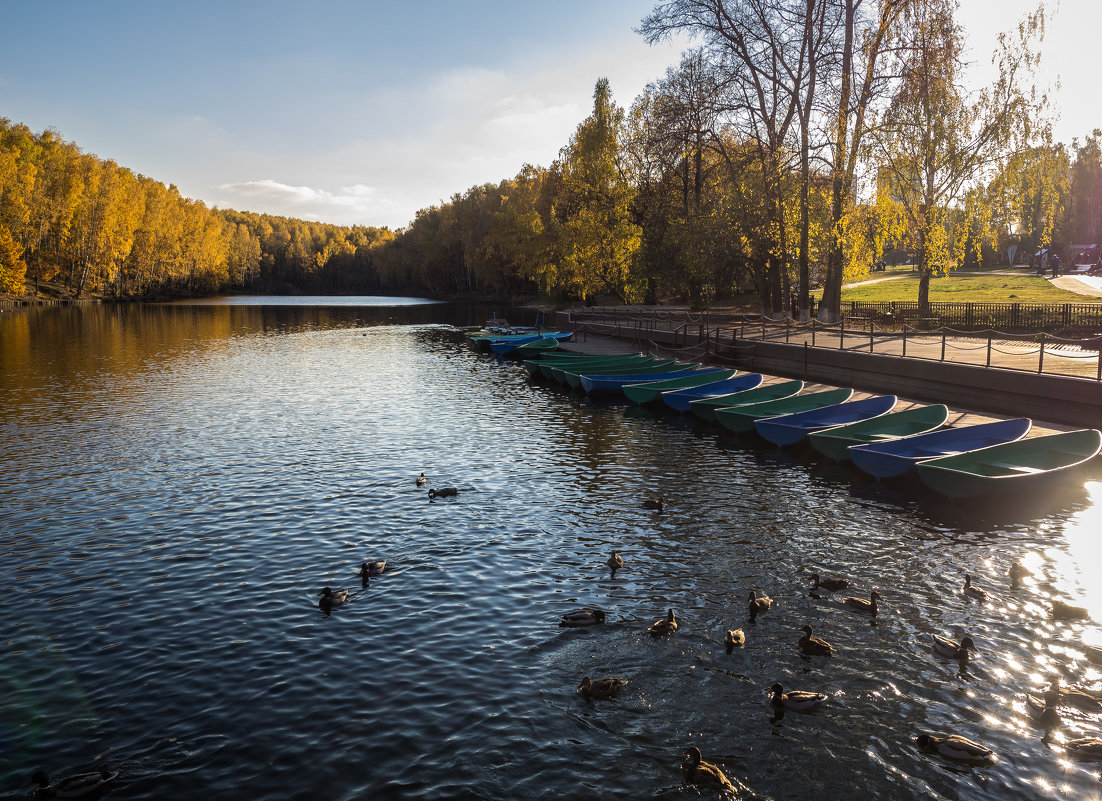 Осенний пейзаж в октябре - Константин Фролов