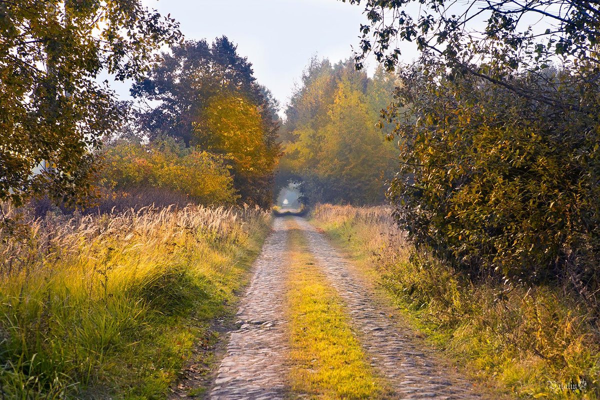 Осенняя дорога к старому хутору - Виталий Латышонок