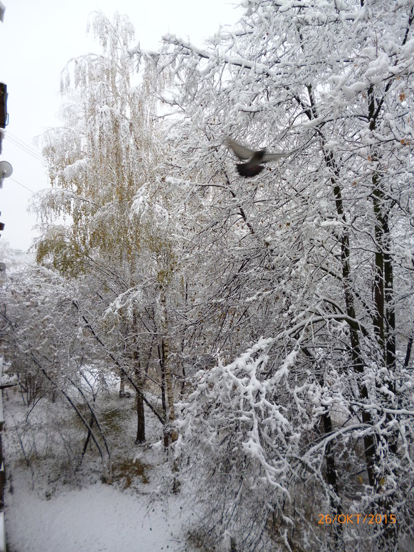 Октябрьское утро. - шубнякова 