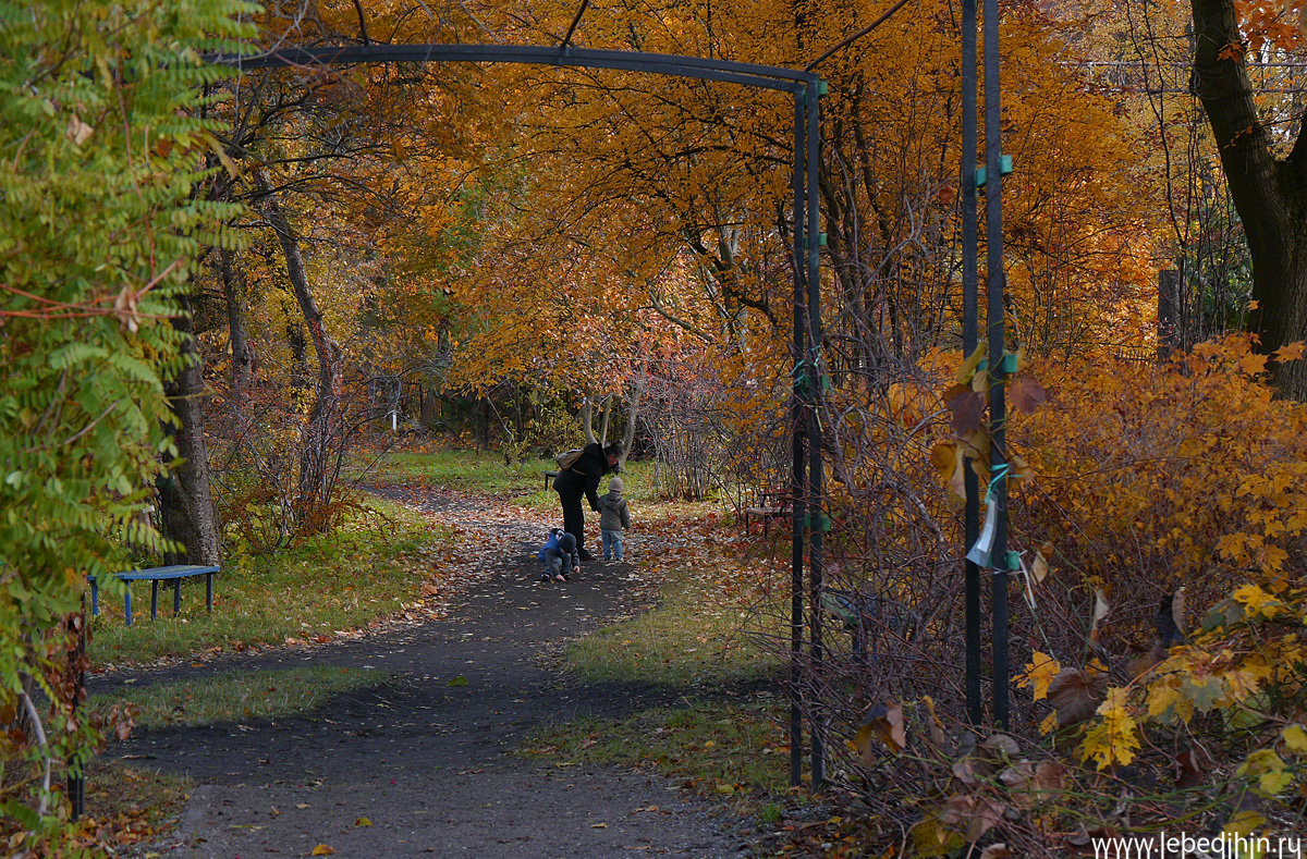 Осень в парке - Дмитрий Лебедихин