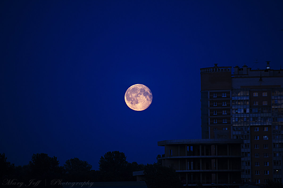 Moon - Мари Шмакова