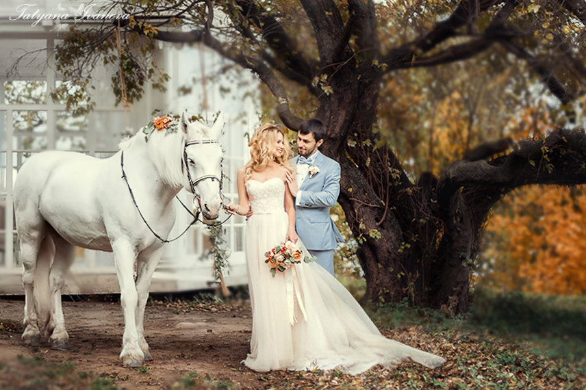 Осенняя свадьба... - татьяна иванова