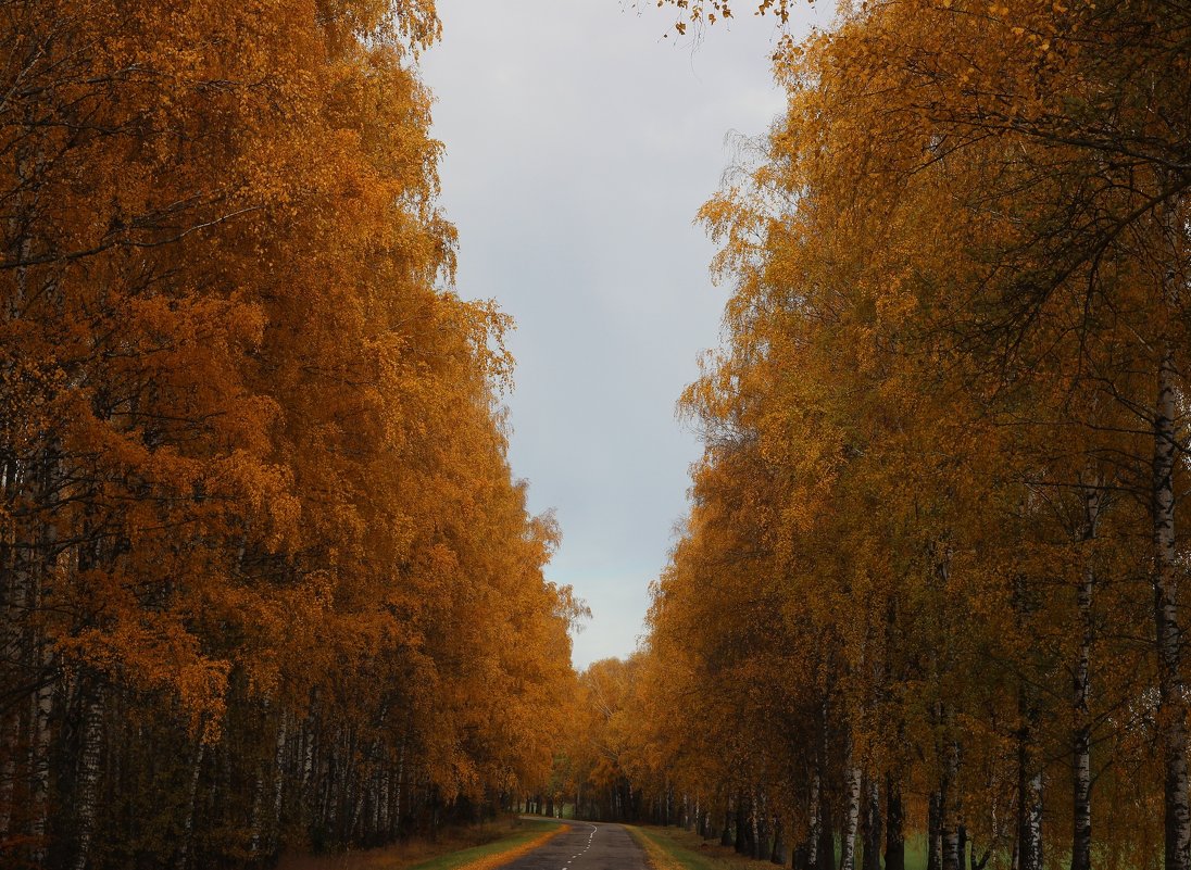 27.10.2015 Осень - Александр 