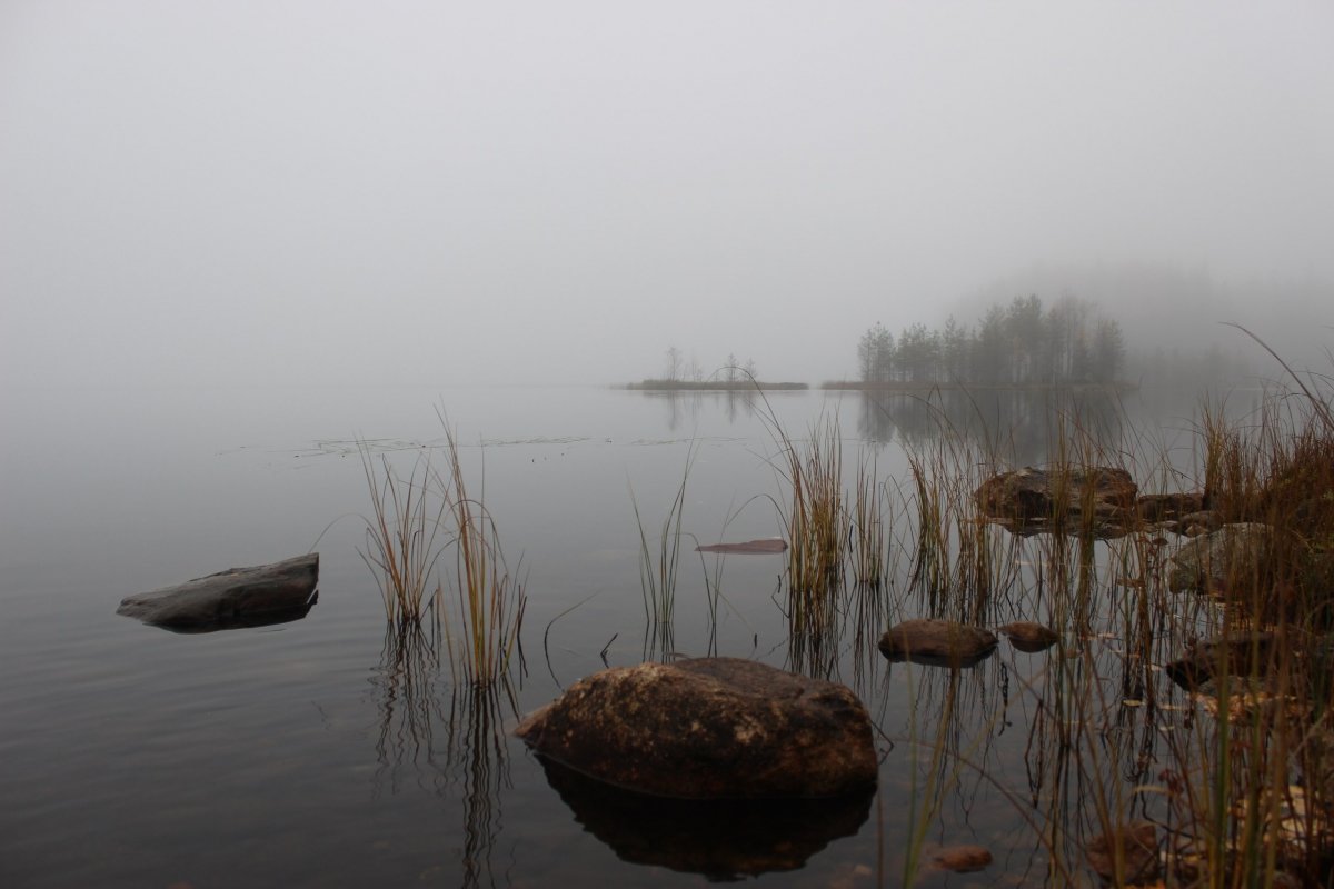 На озере. - Андрей Скорняков