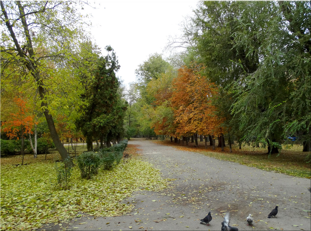 Осень в парке... - Тамара (st.tamara)