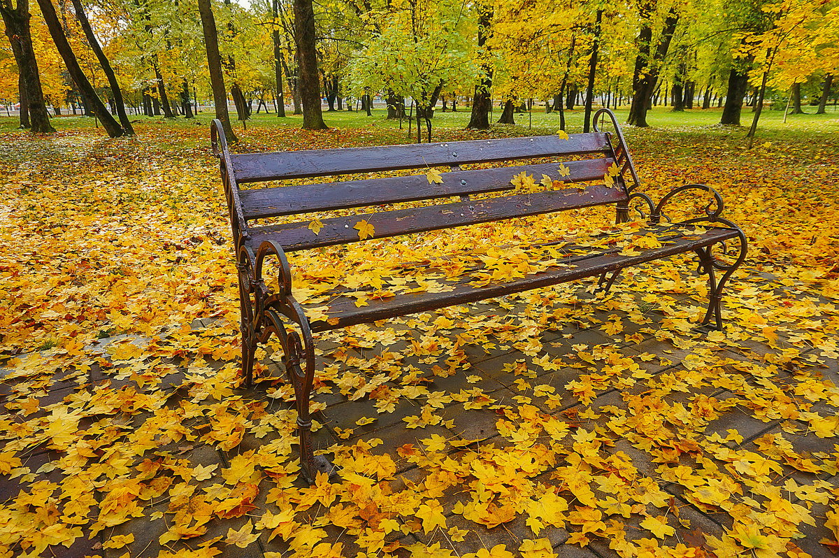 Жёлтый лист на скамейку ложится. Дарит Осень подарки свои ......... - **Татьяна* *