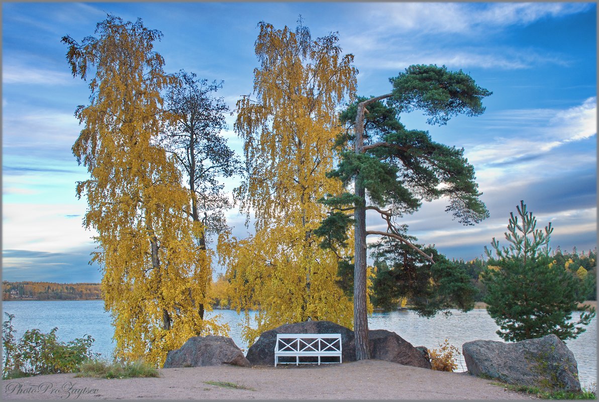 Монрепо 2013 - Андрей Зайцев