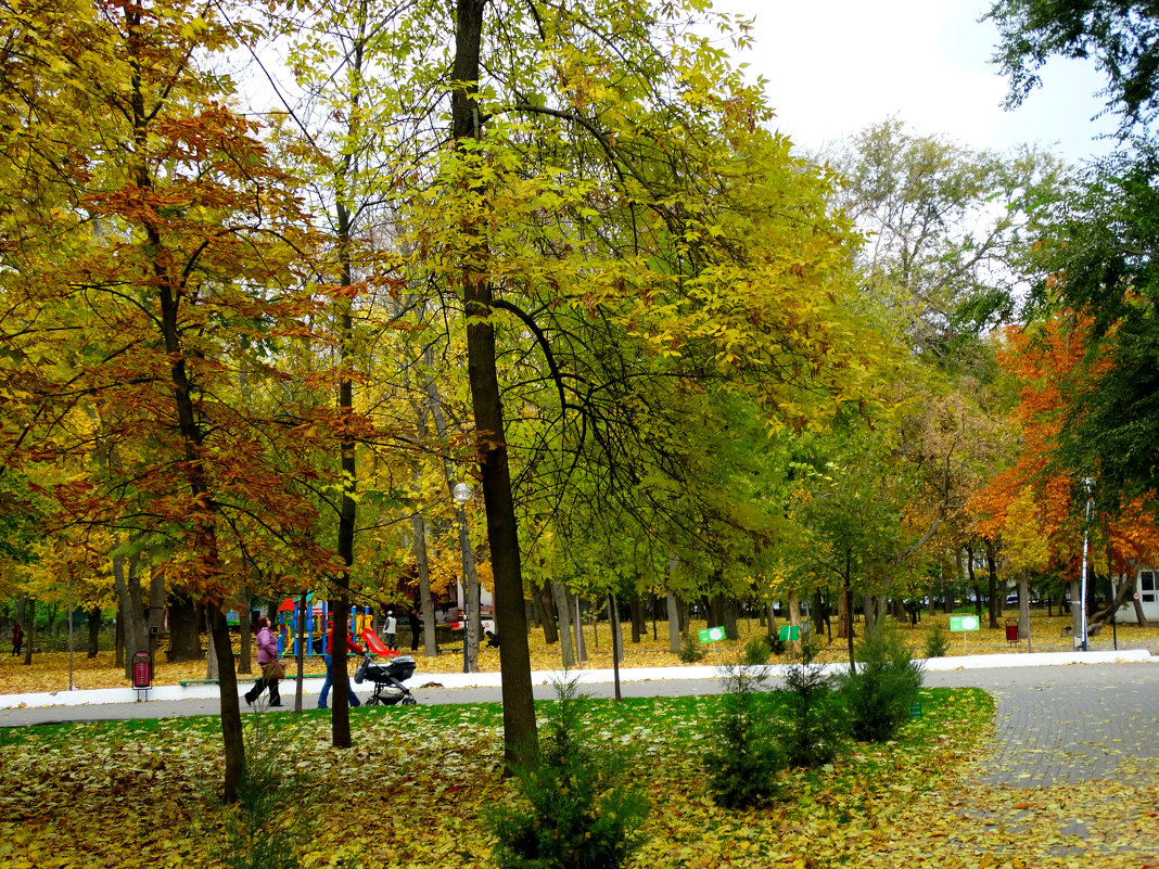 В осеннем парке... - Тамара (st.tamara)