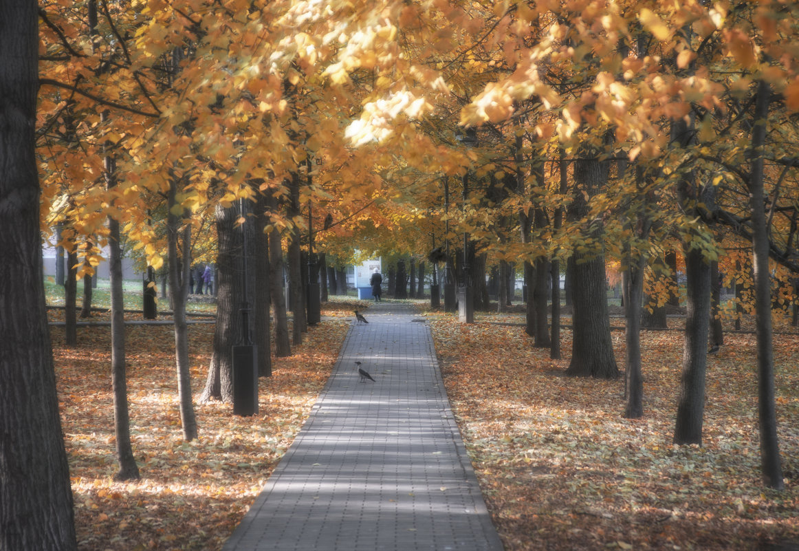 Осень в парке - Михаил Онипенко
