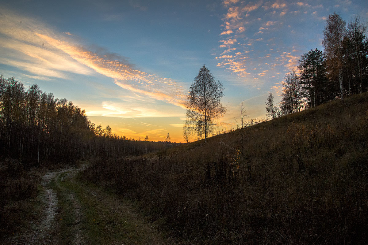 Фото Осенней Природы В Деревне