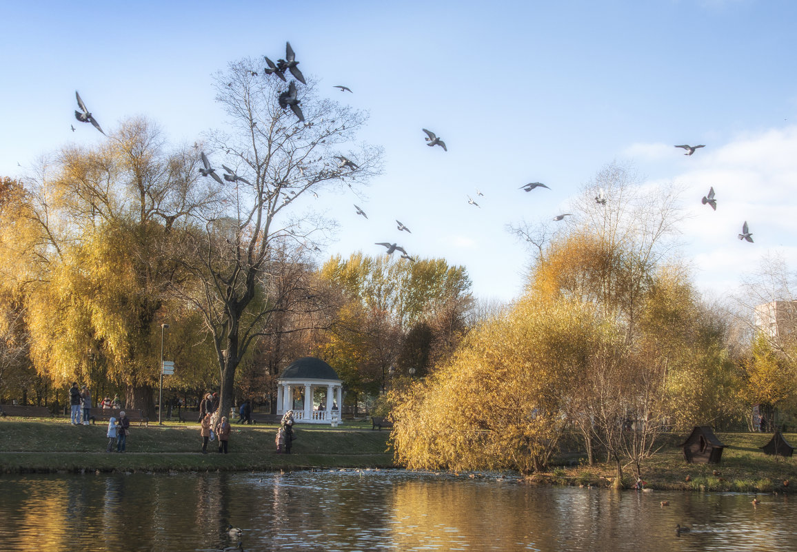 Кормление птиц в Екатерининском парке - Михаил Онипенко