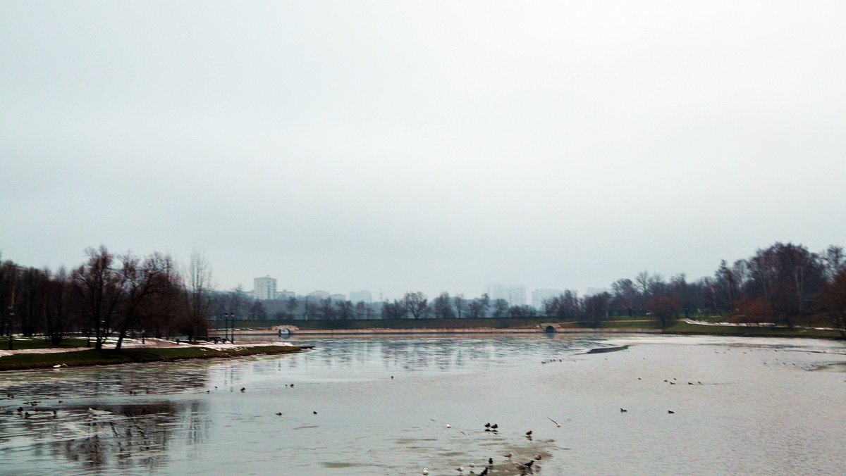 Река Городня в Царицыно - Владимир Болдырев
