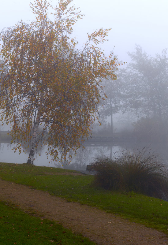 Туманный Альбион: Туманная осень - Дмитрий Сорокин
