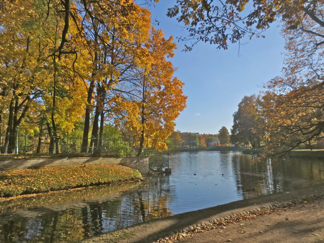 осень во всей красе - Елена 