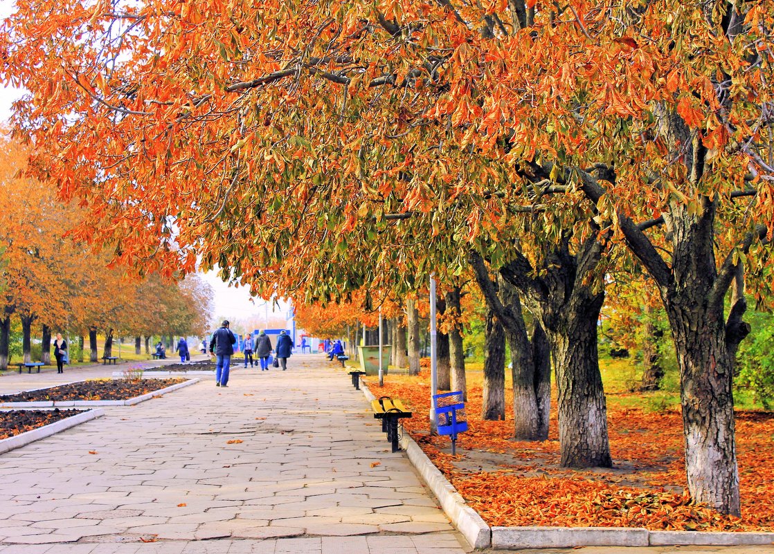 А в парке всё гуляет осень, деревья в зареве листвы. - Валентина ツ ღ✿ღ