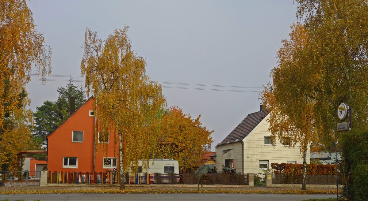 Birkenstraße- улица Березовая - Galina Dzubina