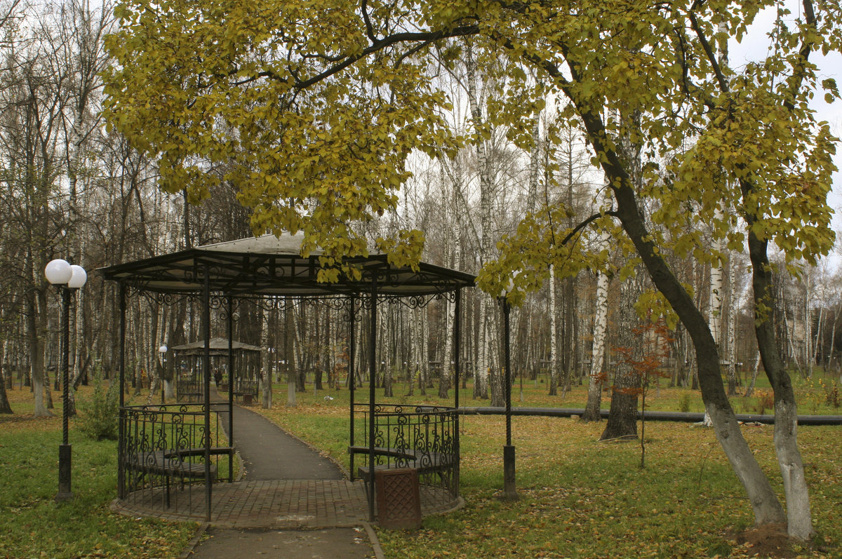 Осенний парк - lady-viola2014 -