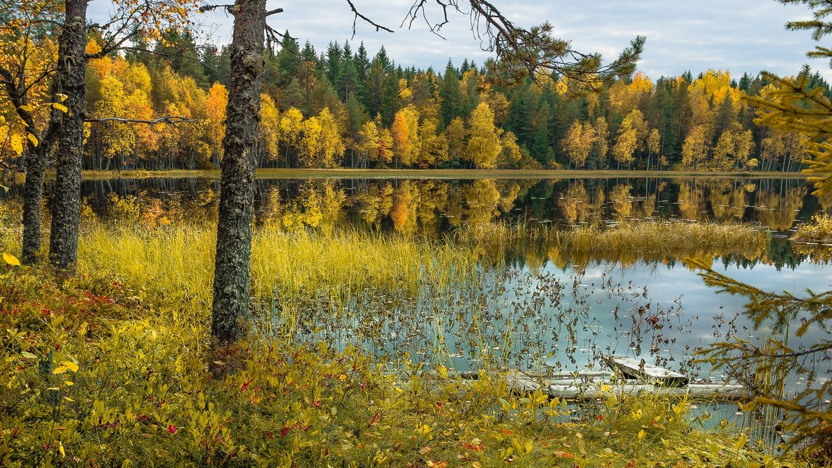 Осень и озеро Чёрное... - Федор Кованский