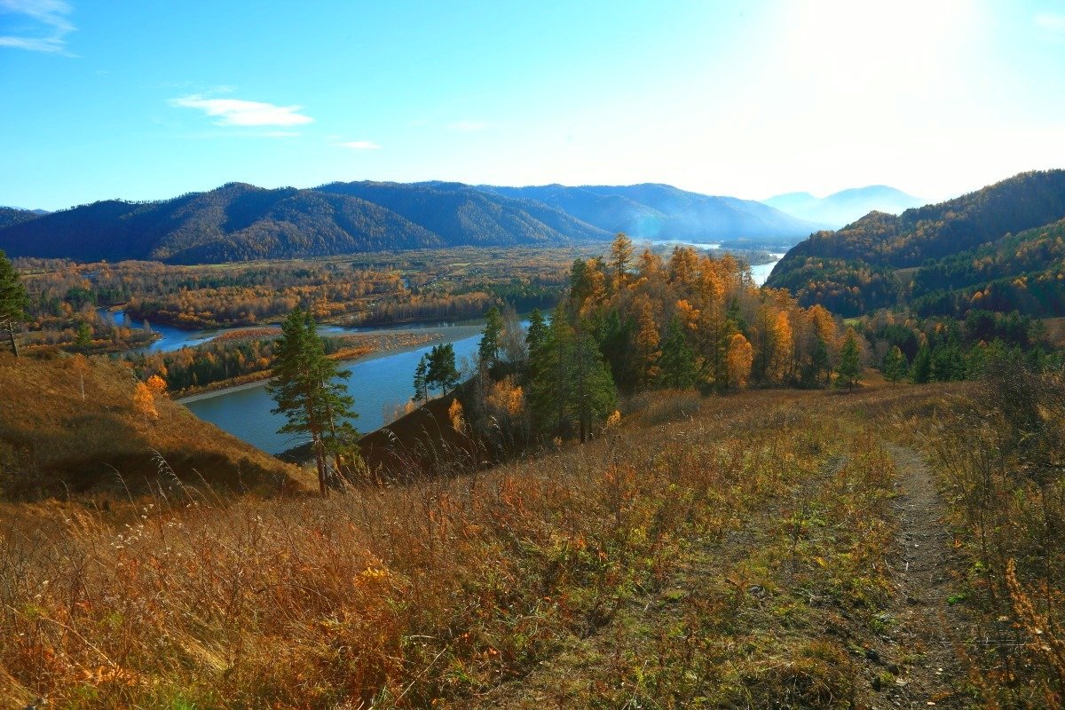 ** - Николай Елисеев