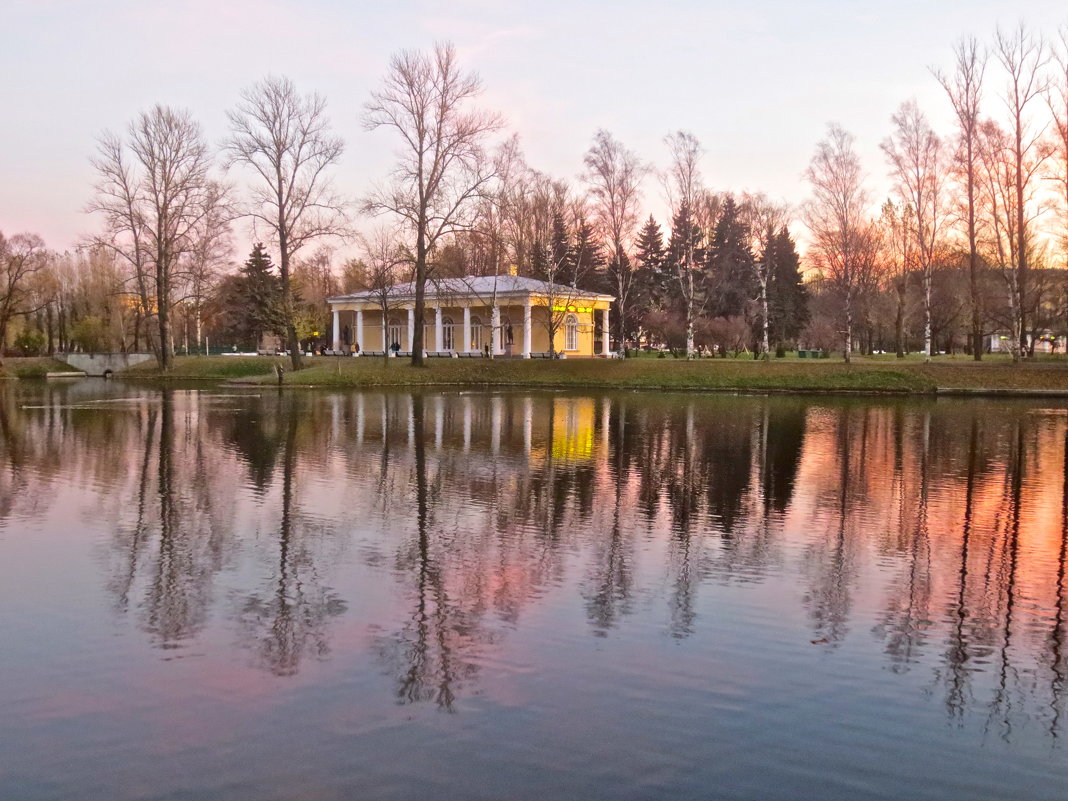 в парке в сумерки - Елена 