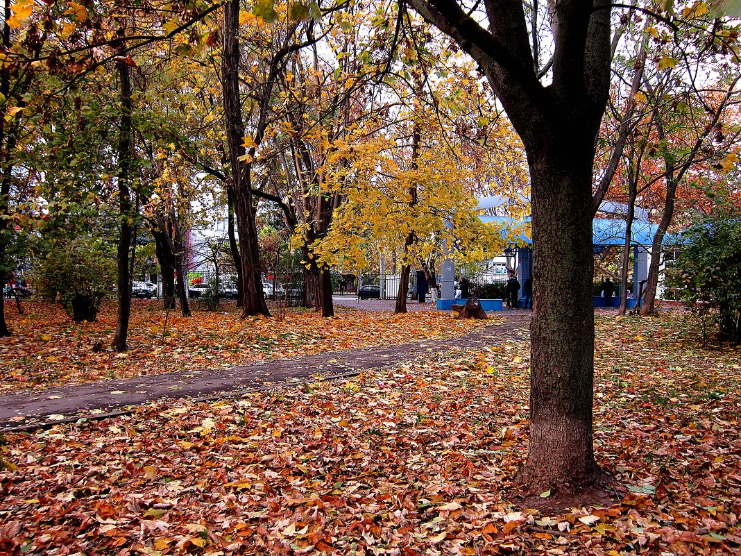 Тропа к воде - Людмила 