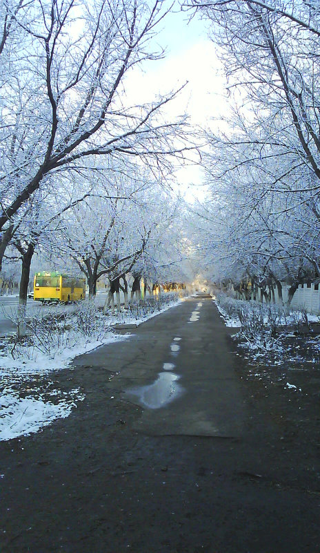 17. Первый снег 2. - Александр 