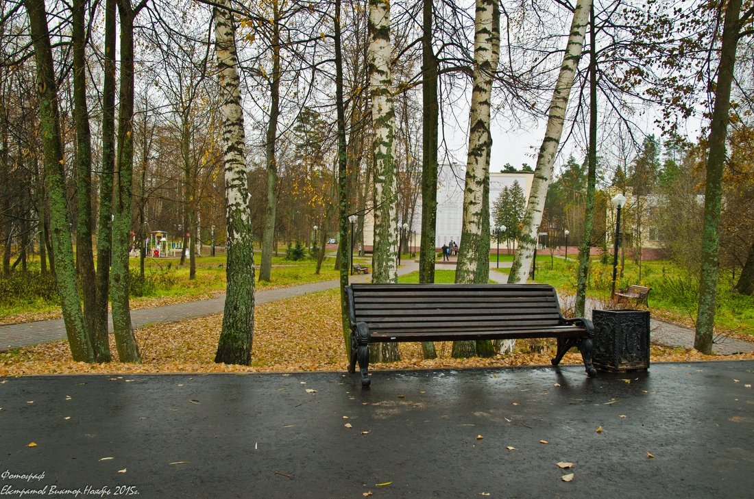 В осеннем парке,в ноябре. - Виктор Евстратов