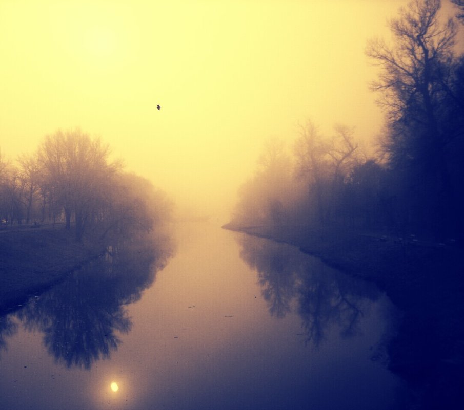 Полет над рекой в утреннем тумане - Денис Бугров 