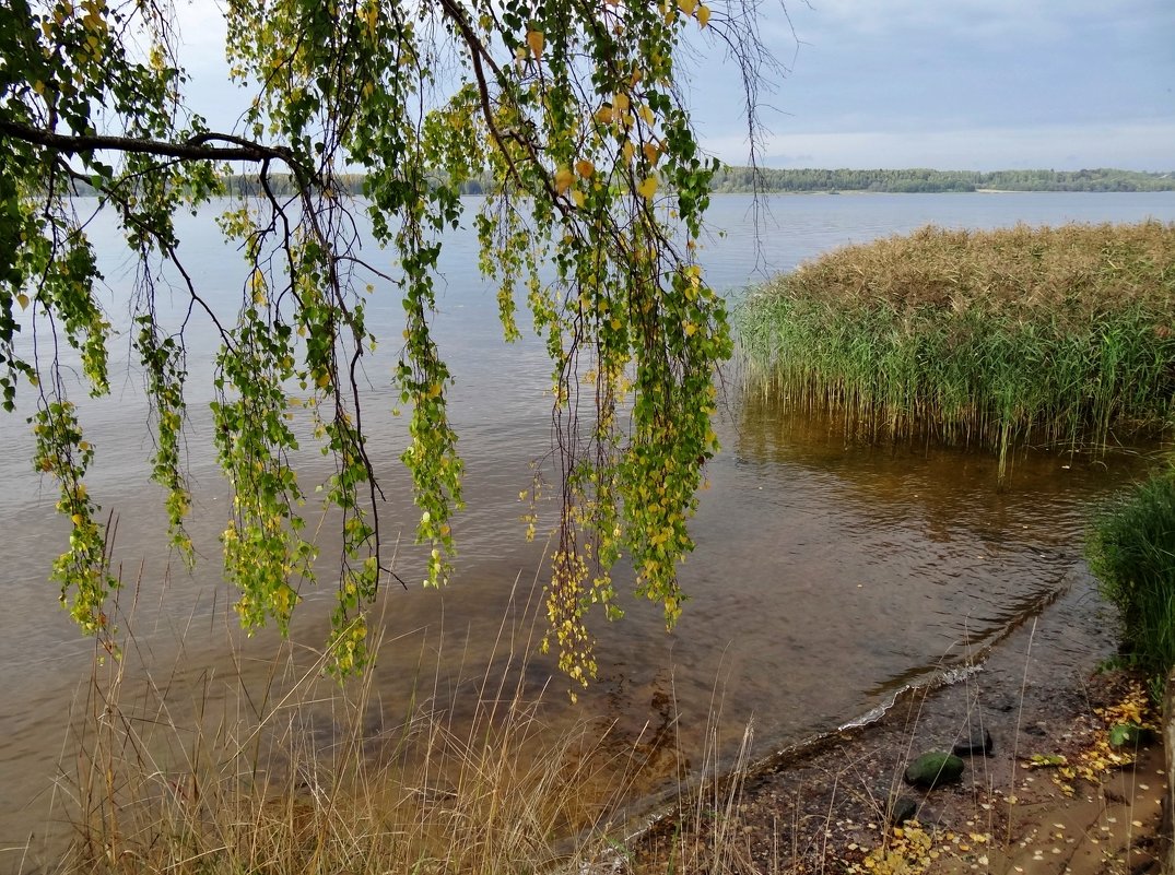 набегает волна - Валентина. .