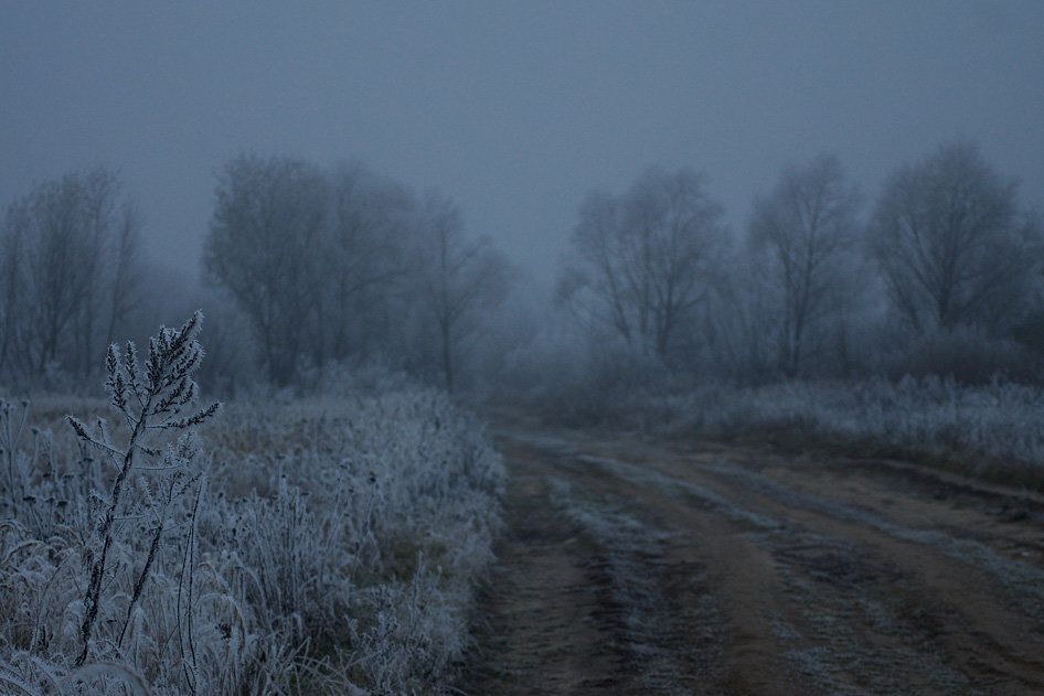 Дыхание зимы - Алексей Щетинщиков