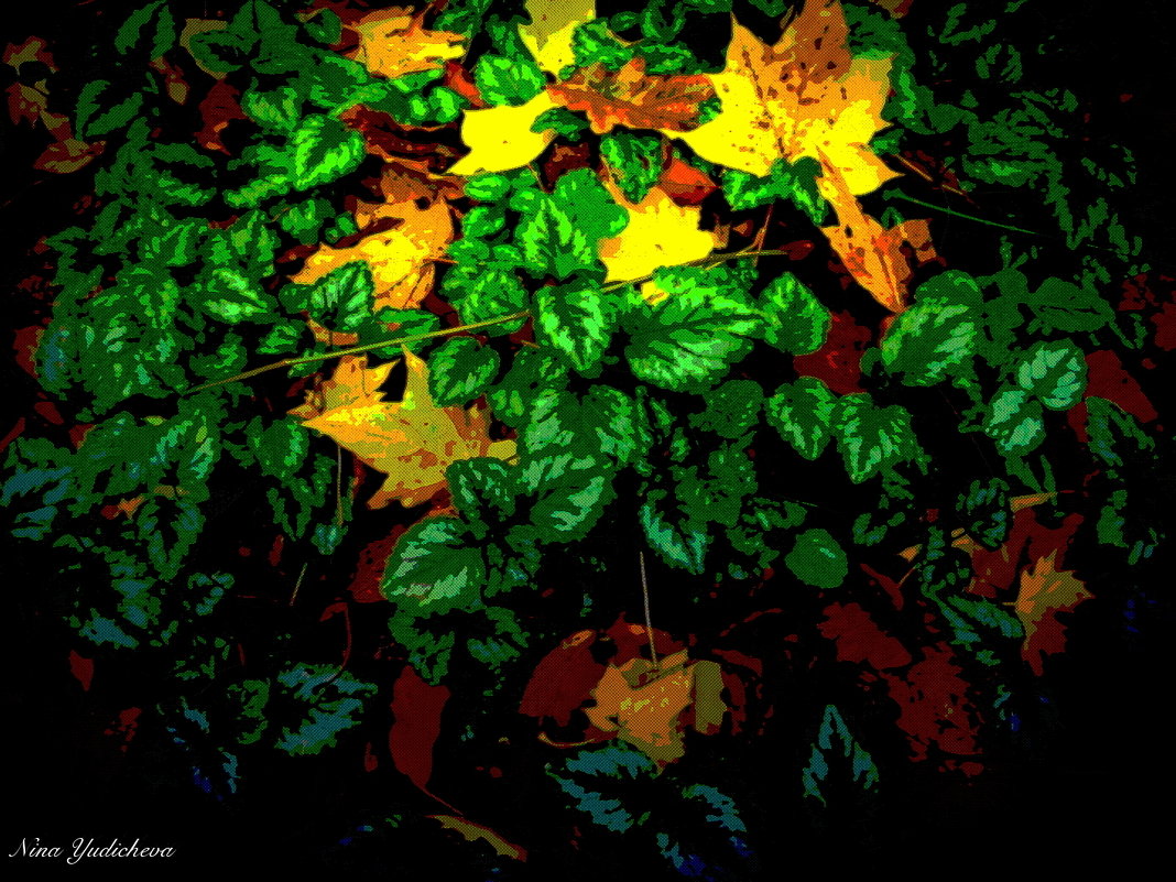 Осенние листья - Nina Yudicheva